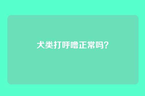 犬类打呼噜正常吗？