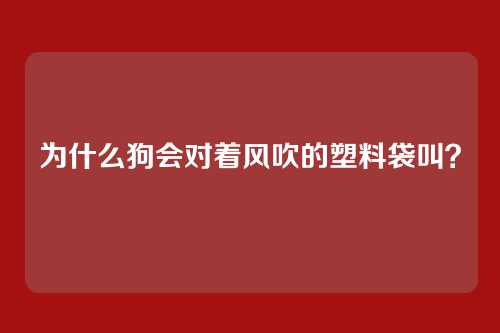 为什么狗会对着风吹的塑料袋叫?
