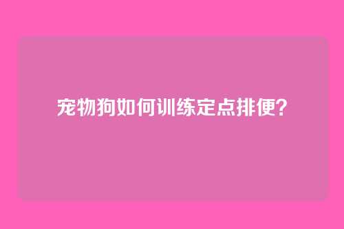 宠物狗如何训练定点排便？