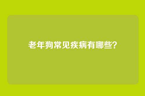 老年狗常见疾病有哪些？