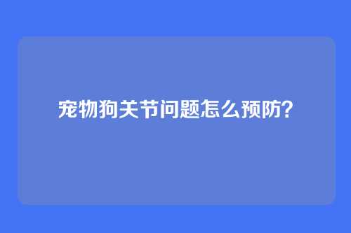 宠物狗关节问题怎么预防?