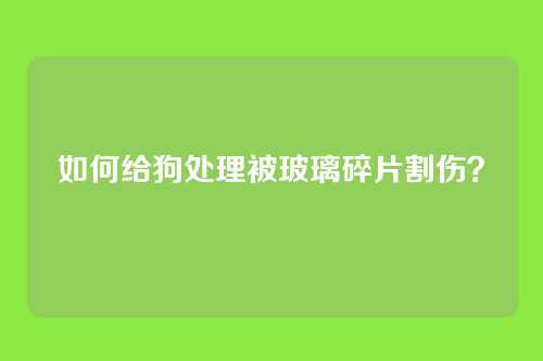 如何给狗处理被玻璃碎片割伤？