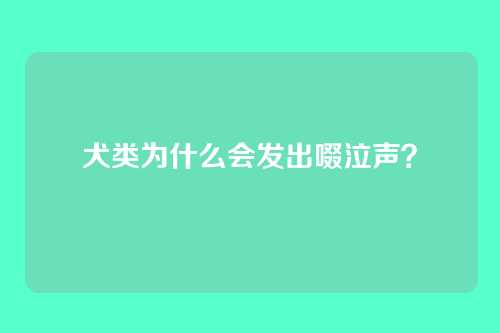 犬类为什么会发出啜泣声？