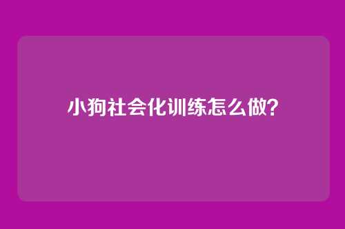 小狗社会化训练怎么做？