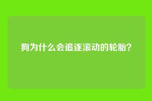 狗为什么会追逐滚动的轮胎？