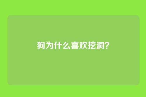 狗为什么喜欢挖洞？