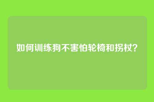 如何训练狗不害怕轮椅和拐杖？