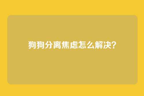 狗狗分离焦虑怎么解决？