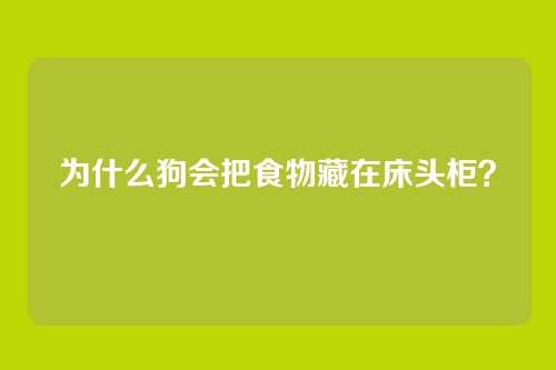 为什么狗会把食物藏在床头柜？