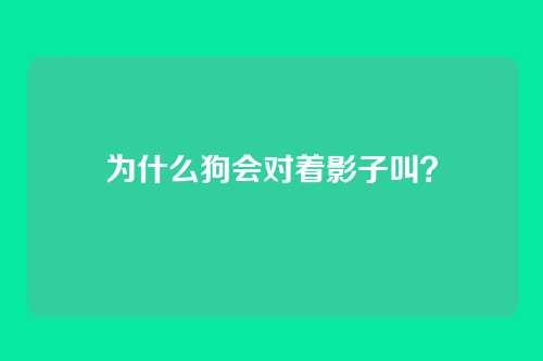 为什么狗会对着影子叫？