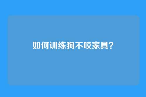 如何训练狗不咬家具？