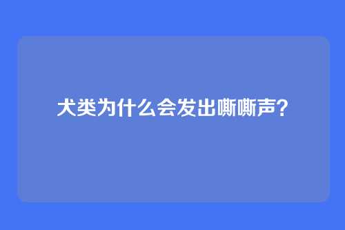 犬类为什么会发出嘶嘶声？