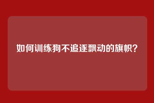 如何训练狗不追逐飘动的旗帜？
