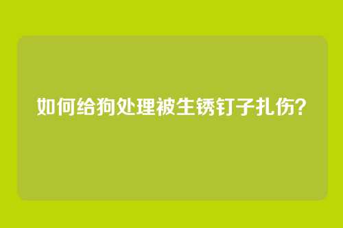 如何给狗处理被生锈钉子扎伤？