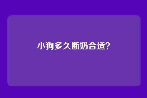 小狗多久断奶合适？