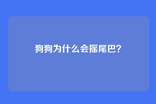 狗狗为什么会摇尾巴？