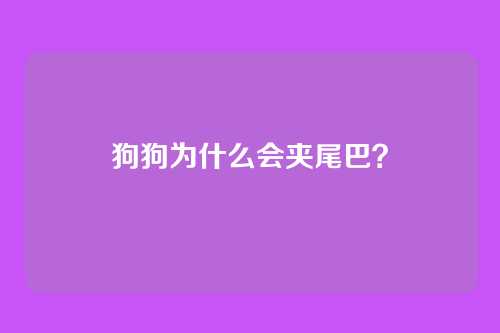 狗狗为什么会夹尾巴?