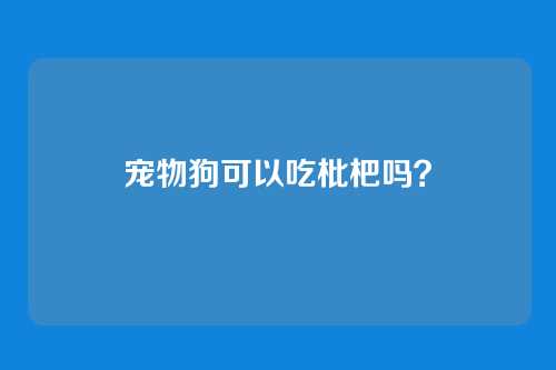 宠物狗可以吃枇杷吗？