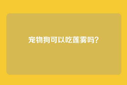 宠物狗可以吃莲雾吗？