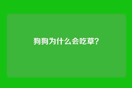 狗狗为什么会吃草？