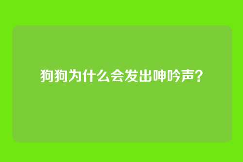 狗狗为什么会发出呻吟声？