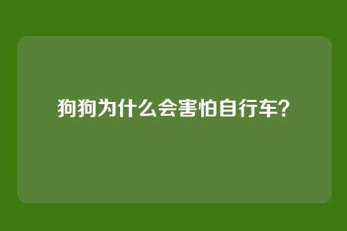 狗狗为什么会害怕自行车？