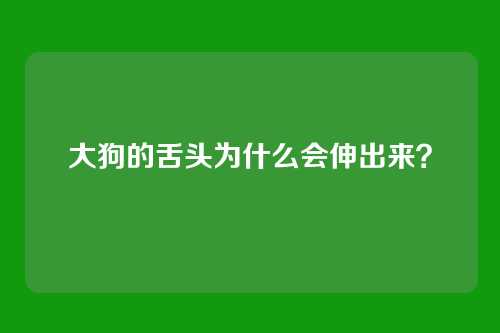大狗的舌头为什么会伸出来？
