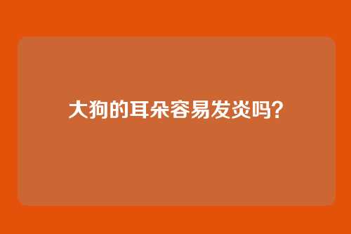 大狗的耳朵容易发炎吗？