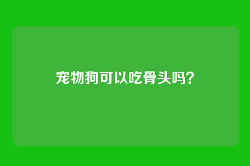 宠物狗可以吃骨头吗？