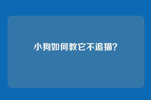 小狗如何教它不追猫？