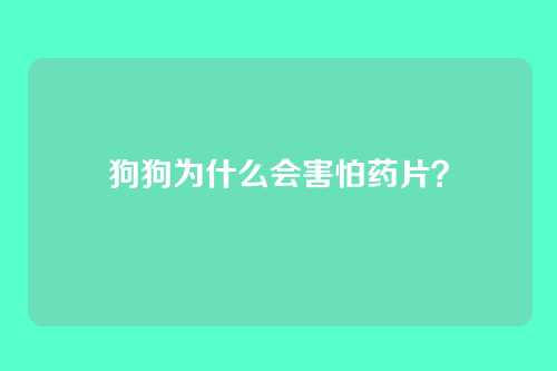 狗狗为什么会害怕药片？