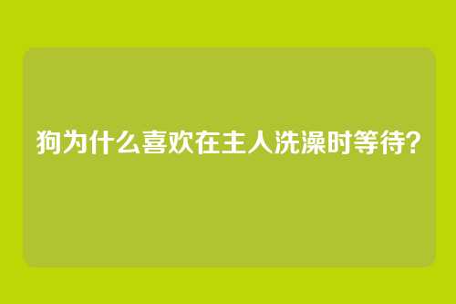 狗为什么喜欢在主人洗澡时等待？