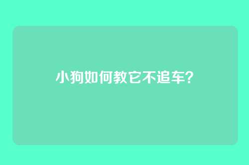 小狗如何教它不追车？