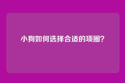 小狗如何选择合适的项圈？