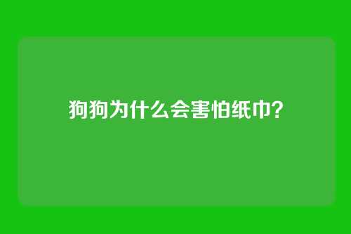 狗狗为什么会害怕纸巾？