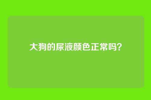大狗的尿液颜色正常吗？