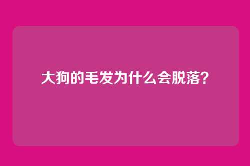 大狗的毛发为什么会脱落？