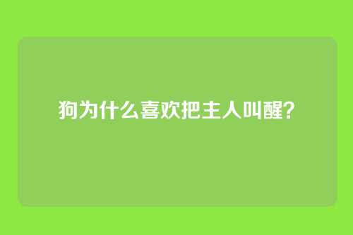 狗为什么喜欢把主人叫醒？