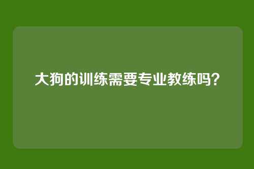 大狗的训练需要专业教练吗？