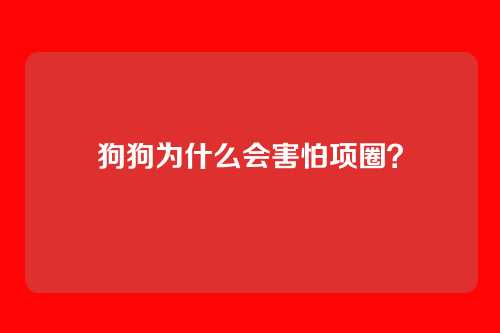 狗狗为什么会害怕项圈？