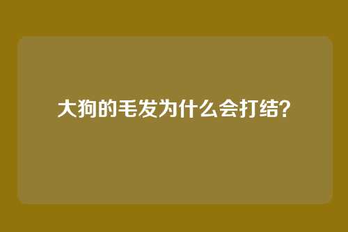 大狗的毛发为什么会打结？
