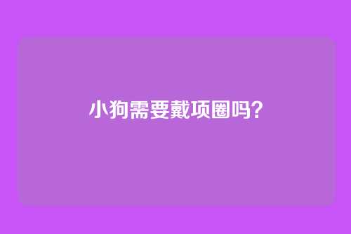 小狗需要戴项圈吗？