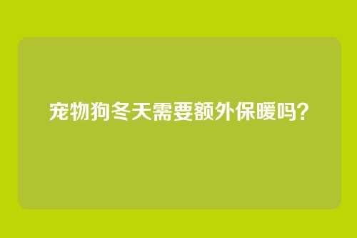 宠物狗冬天需要额外保暖吗？