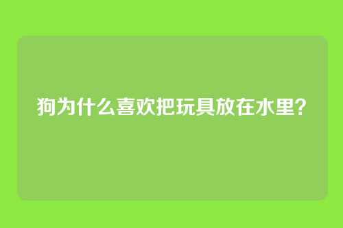狗为什么喜欢把玩具放在水里？