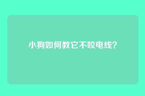 小狗如何教它不咬电线？