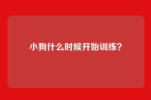 小狗什么时候开始训练？