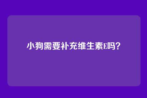 小狗需要补充维生素E吗？