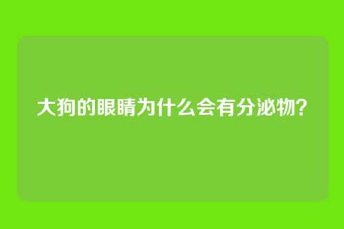 大狗的眼睛为什么会有分泌物？