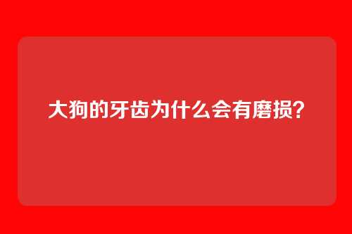 大狗的牙齿为什么会有磨损？