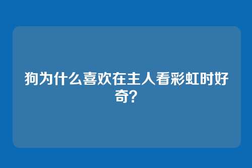 狗为什么喜欢在主人看彩虹时好奇？